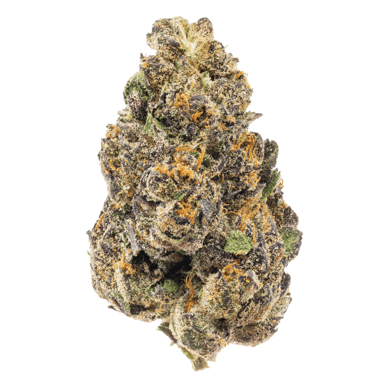 Exotic Flower