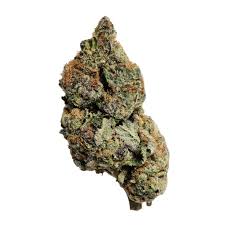 Exotic Flower