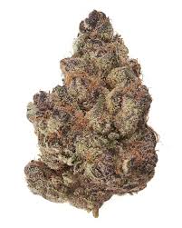 Top Shelf Flower