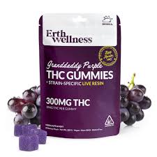 Erth Wellness 30 Pack