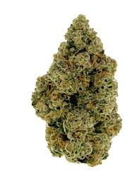 Top Shelf Flower