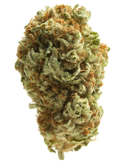 Exotic Flower