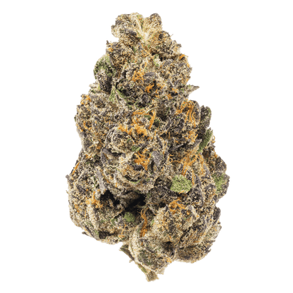 Exotic Flower