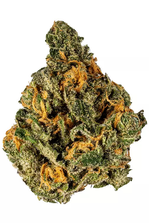 Exotic Flower