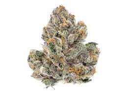 Top Shelf Flower