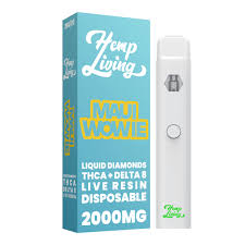 Hemp Living 2000 MG Disposable