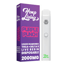 Hemp Living 2000 MG Disposable