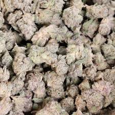 Exotic Flower