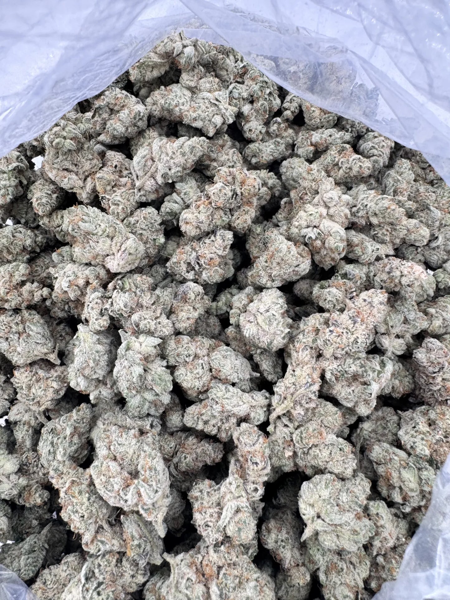 Exotic Flower
