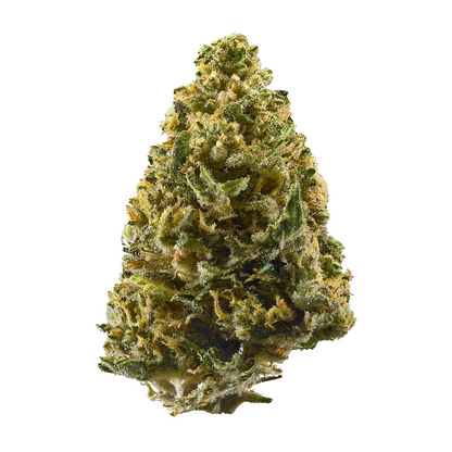 Exotic Flower