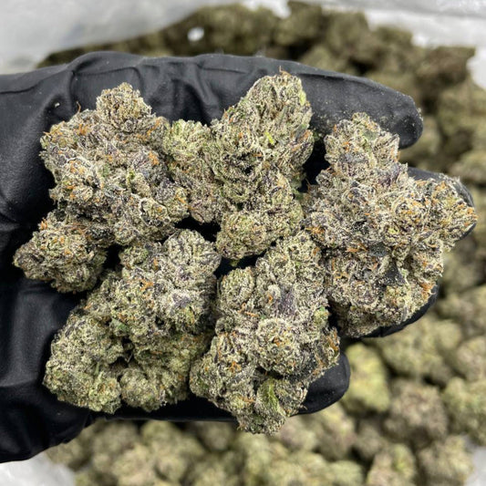 Exotic Flower