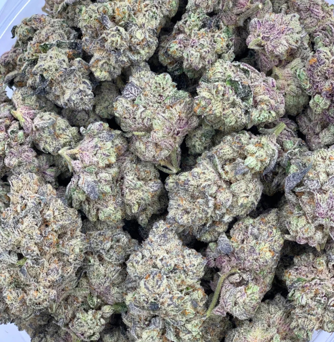 Exotic Flower